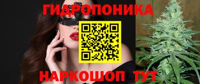mdpv Краснознаменск