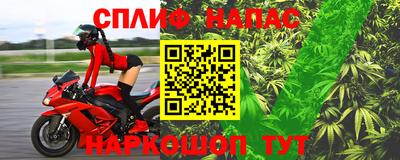 mdpv Краснознаменск
