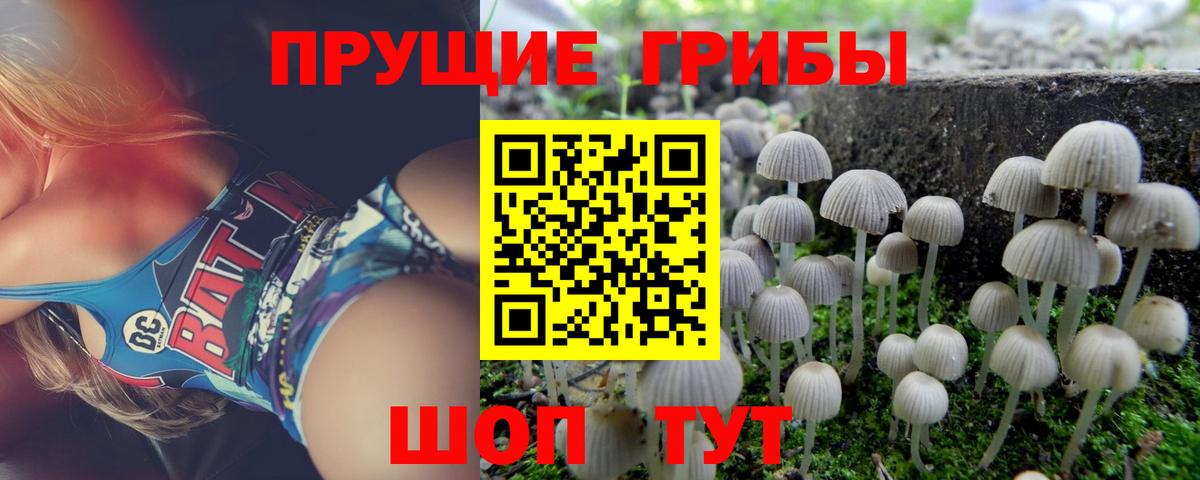 Зеленокумск  Псилоцибиновые грибы GOLDEN TEACHER  Вход с VPN  магазин    Галлюциногенные грибы Psilocybine cubensis 